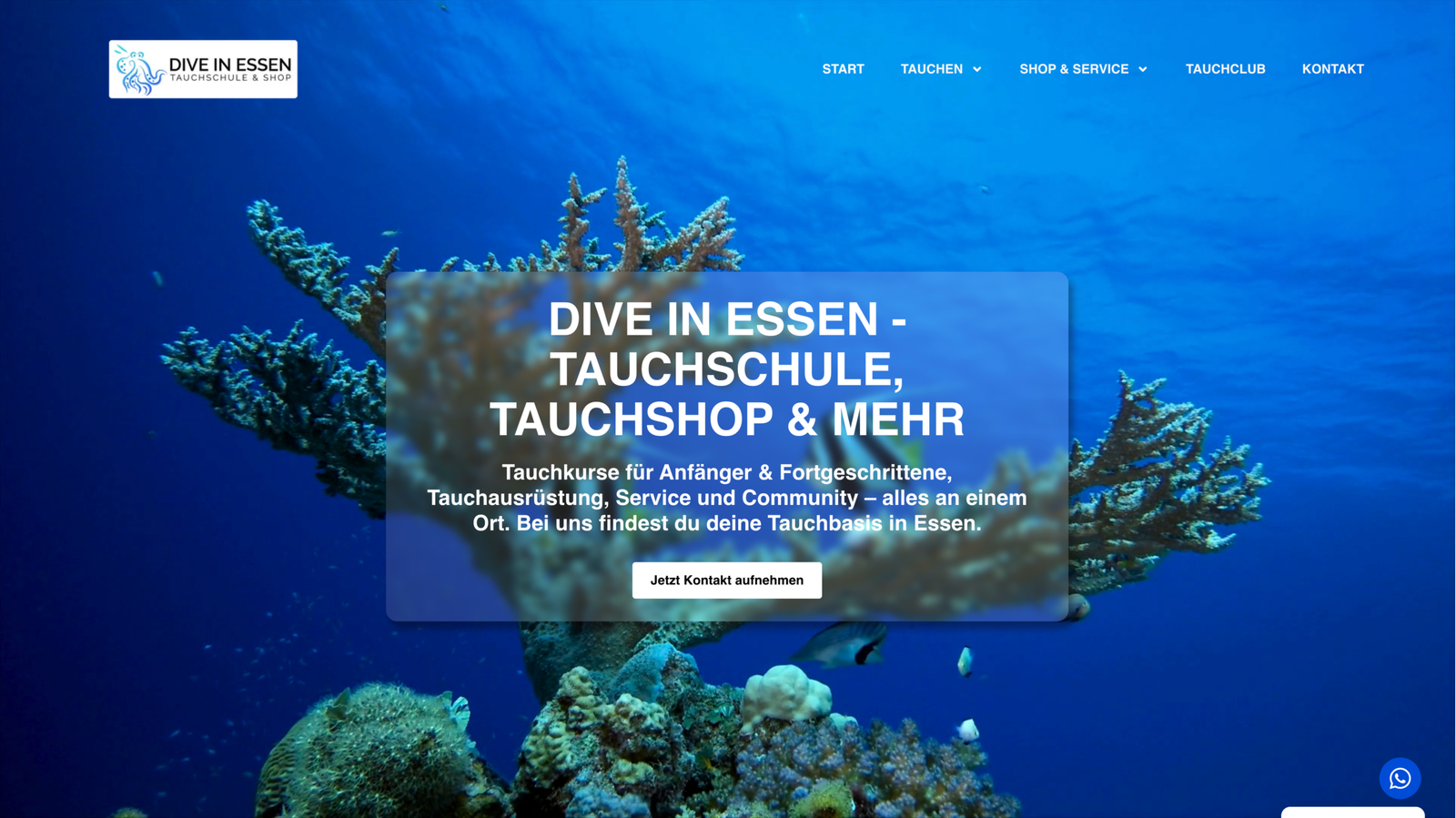 Webdesign Referenz – Dive In Tauchshop